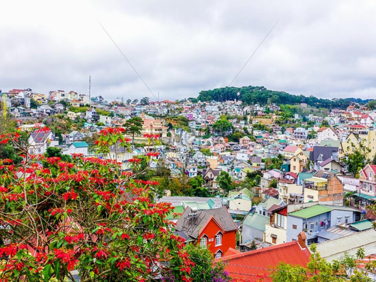 Nhat Hoang Homestay Далат Экстерьер фото